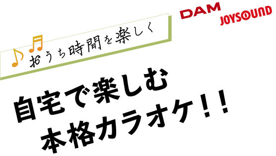 自宅で楽しむ本格カラオケ